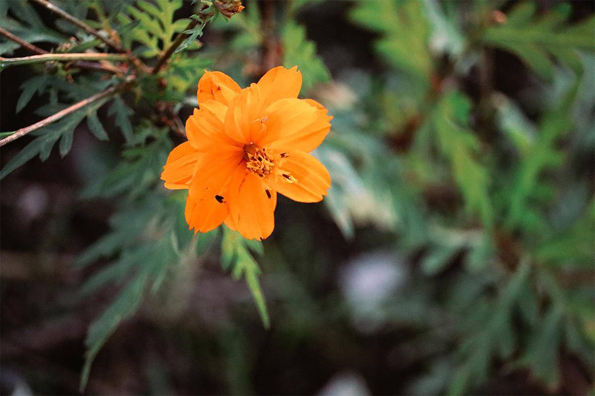 Foto: Christine Moik