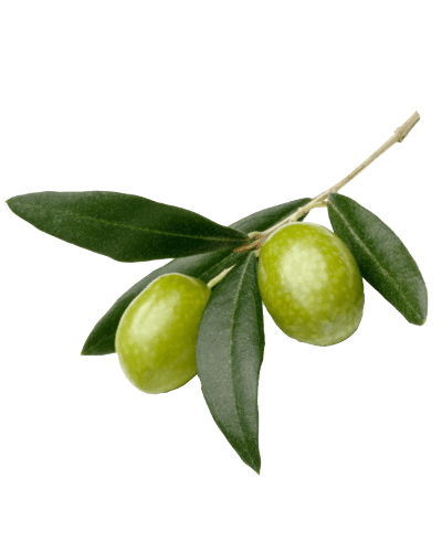 Kalamata Oliven in der Dose zu 460 g